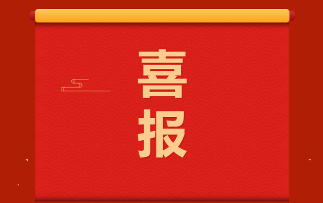 喜报—集团公司团委“乐鱼leyu（中国）志愿情”志愿服务项目荣获省赛金奖