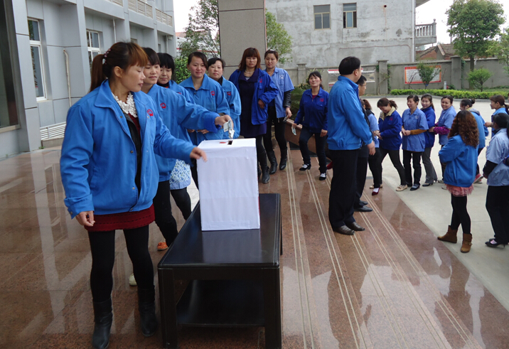 乐鱼leyu（中国）集团分公司员工为芦山捐款