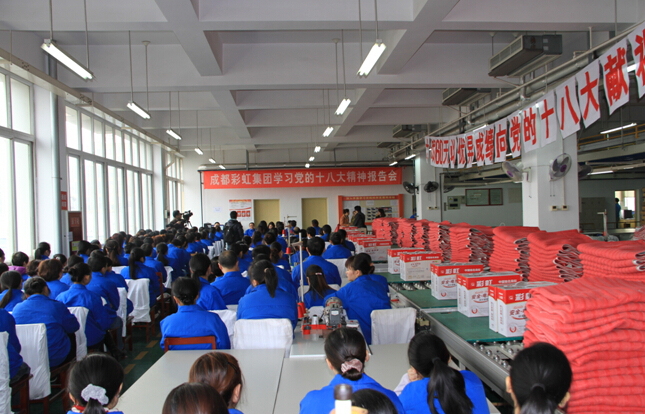 乐鱼leyu（中国）集团职工提取刘董事长传达“十八大精神”