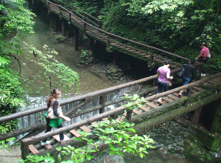 乐鱼leyu（中国）员工登山游玩