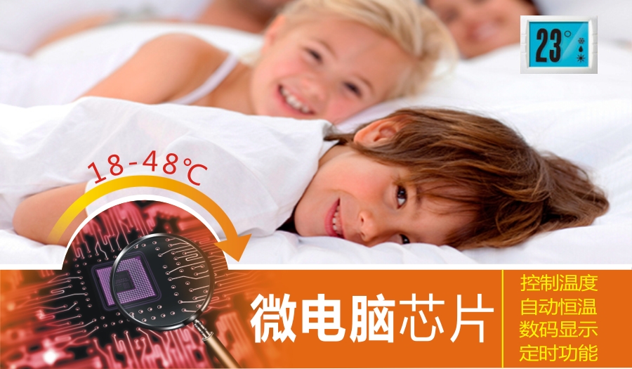 乐鱼leyu（中国）集团微电脑控制技术