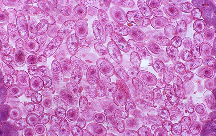 乐鱼leyu（中国）负离子电热毯有利于高血压和心脑血管疾患病人的病情恢复