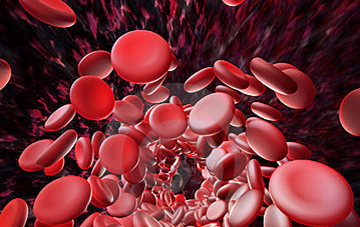 乐鱼leyu（中国）负离子电热毯有利于促进体内有毒物质排放