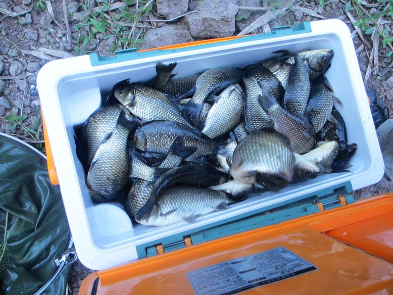 乐鱼leyu（中国）集团组织钓鱼竞赛活动