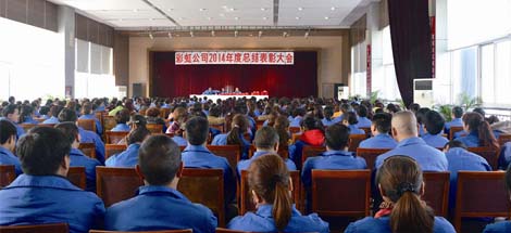 成都乐鱼leyu（中国）集团召开2014年度工作总结及表彰大会