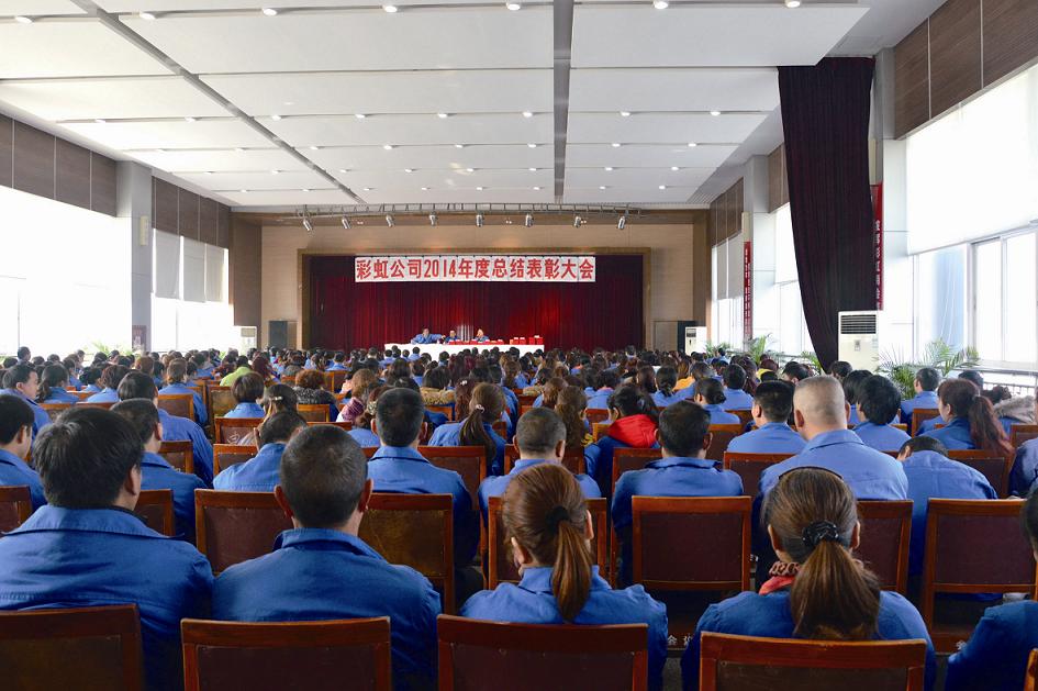 成都乐鱼leyu（中国）集团召开2014年度工作总结及表彰大会