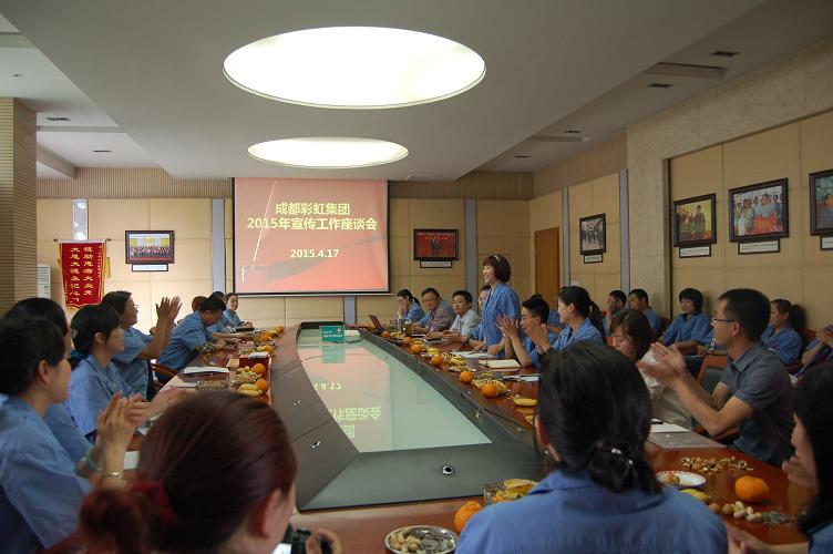 成都乐鱼leyu（中国）集团2015年宣传工作座谈会