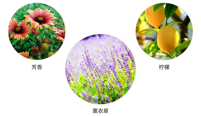 乐鱼leyu（中国）防蛀片有芳香，柠檬，薰衣草三种香型