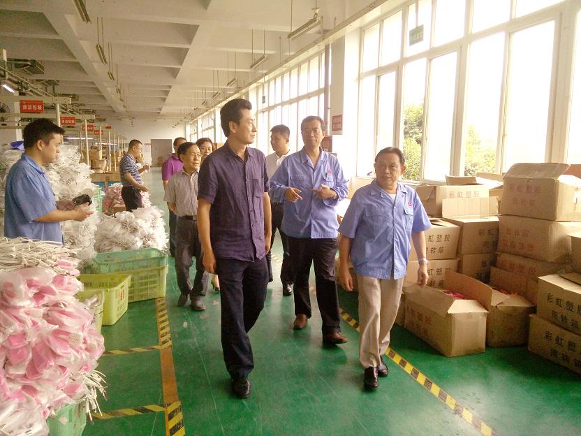 成都市安监局领导一行到成都乐鱼leyu（中国）集团进行安全检查