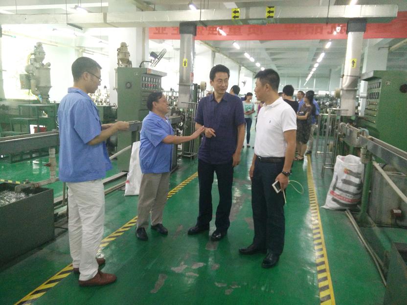 成都市安监局领导一行到成都乐鱼leyu（中国）集团进行安全检查