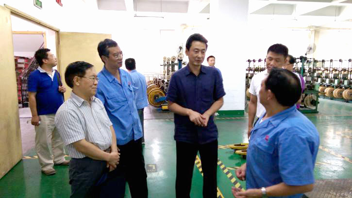 成都市安监局领导一行到成都乐鱼leyu（中国）集团进行安全检查