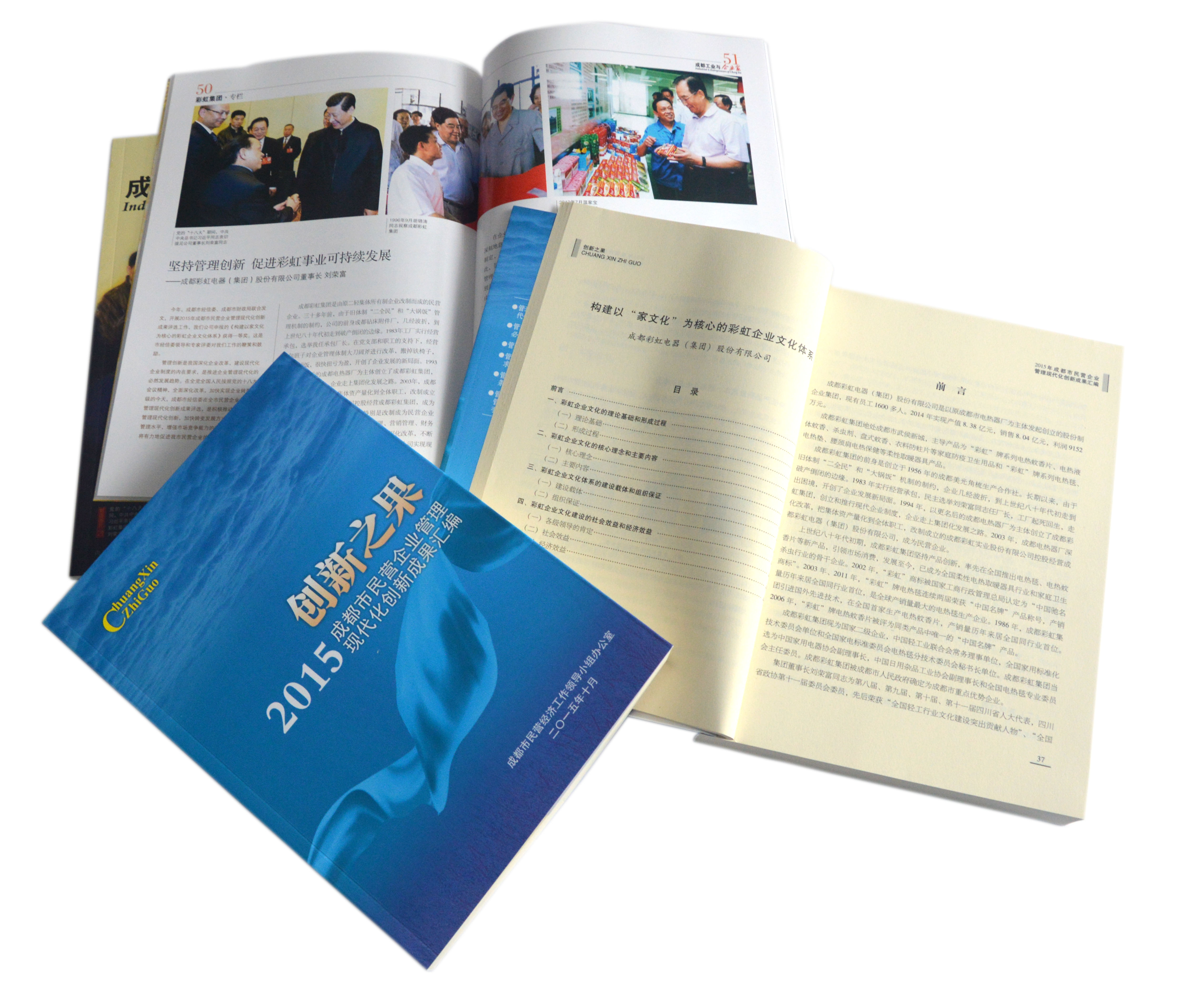 成都乐鱼leyu（中国）集团荣获2015成都市民营企业管理现代化创新成果一等奖