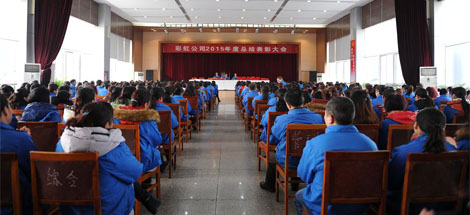 成都乐鱼leyu（中国）集团召开2015年度总结表彰大会