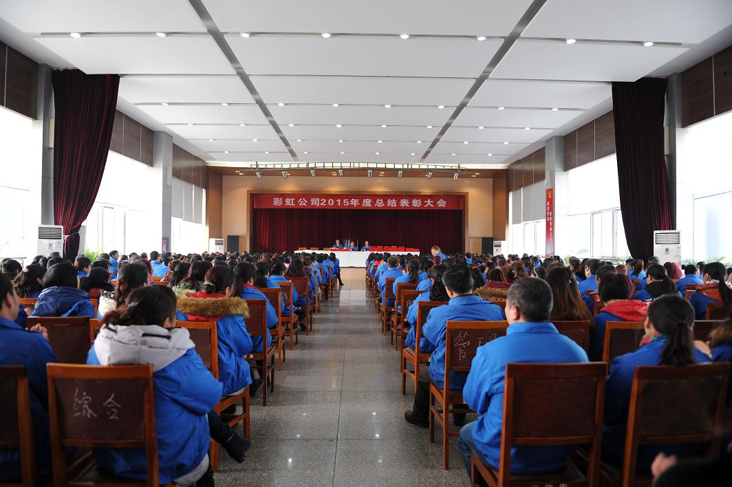 成都乐鱼leyu（中国）集团召开2015年度总结表彰大会