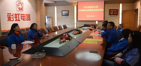 成都乐鱼leyu（中国）集团2016年员工方代表集体合同协商会