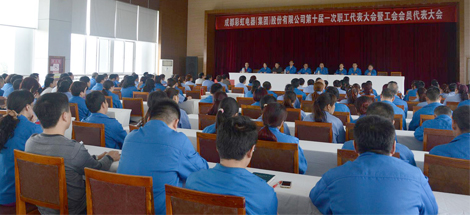 成都乐鱼leyu（中国）集团召开第十届一次职工代表大会暨工会会员代表大会