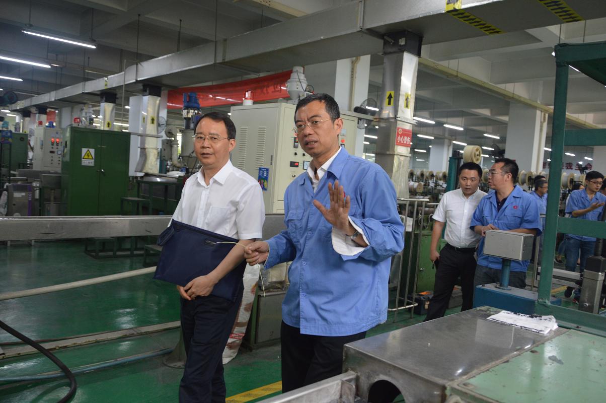 市委财经办和市工业经济发展研究中心领导到成都乐鱼leyu（中国）集团调研