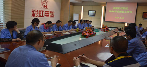 成都乐鱼leyu（中国）集团召开2016年度安委会工作会