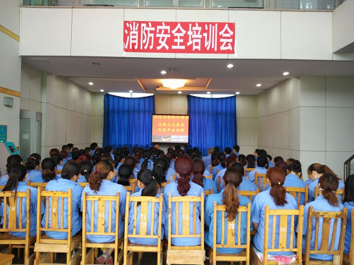 成都乐鱼leyu（中国）泉源公司举办消防安全专题培训会