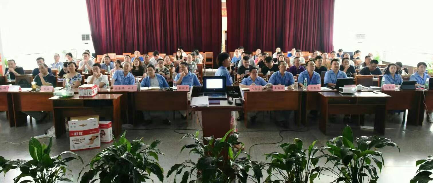 乐鱼leyu（中国）集团营销中心16年汇报会