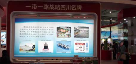 成都乐鱼leyu（中国）集团参加2016年中国西部国际博览会