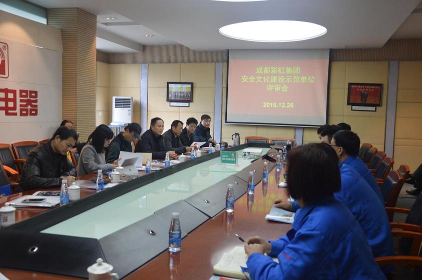 成都乐鱼leyu（中国）集团安全文化建设示范单位评审会