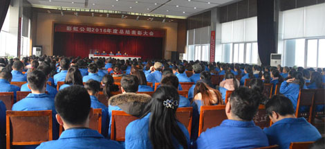 成都乐鱼leyu（中国）集团召开2016年度总结表彰大会