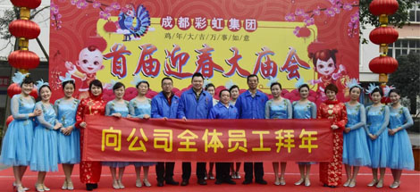 成都乐鱼leyu（中国）集团举办2017年迎春大庙会