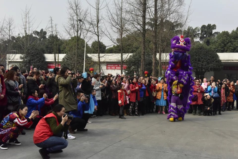 成都乐鱼leyu(中国)集团举办2017迎春大庙会之舞狮 成都乐鱼leyu(中国)集团举办2017迎春大庙会之舞狮