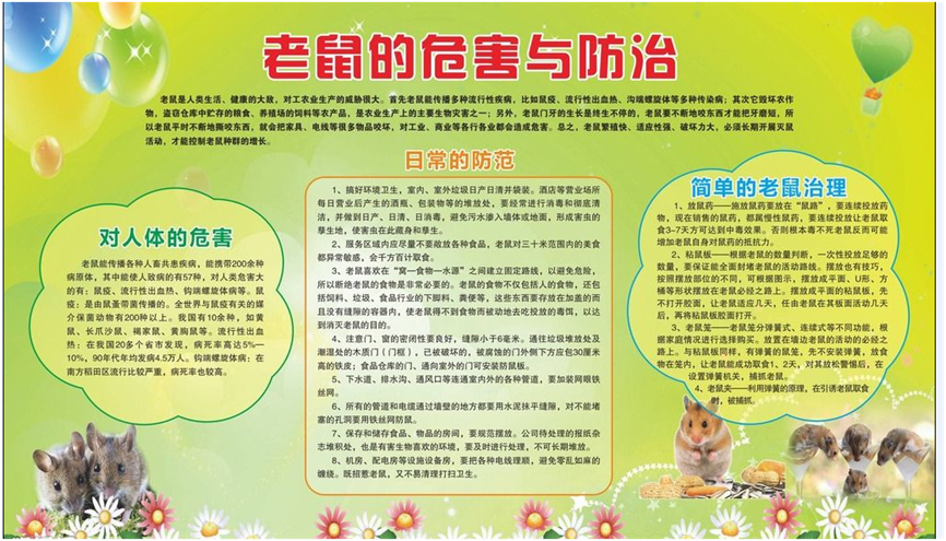 老鼠的危害与防治 老鼠的危害与防治