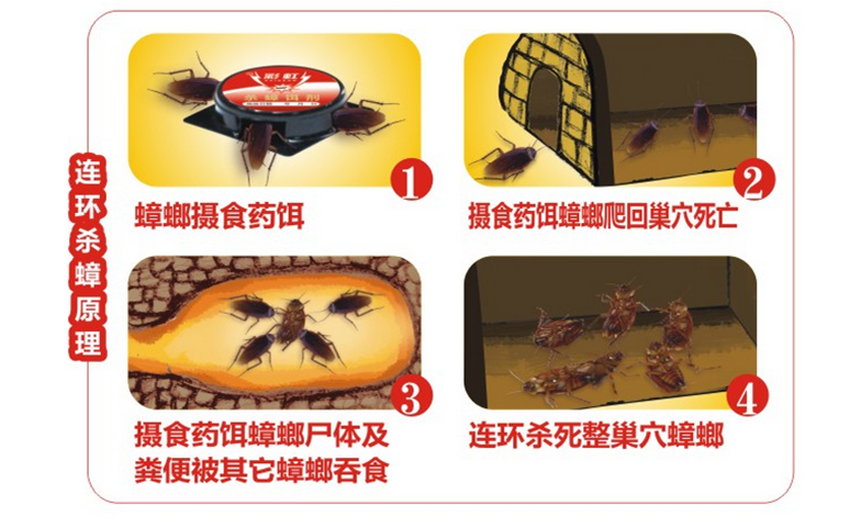 乐鱼leyu（中国）杀蟑饵剂采用含诱蟑因子的杀蟑配方，特殊饵盒设计。饵剂固定在药剂内，仅留蟑螂通过的缝隙，可防止儿童或宠物触食。