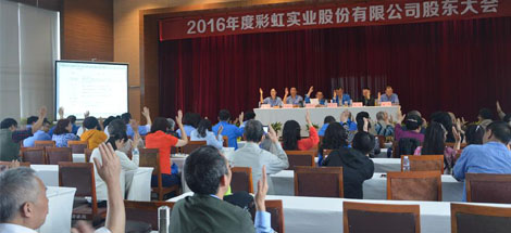 2016年度成都乐鱼leyu（中国）实业股份有限公司股东大会