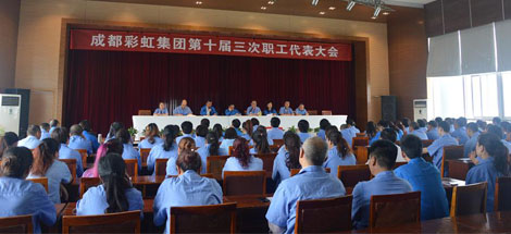 成都乐鱼leyu（中国）集团召开第十届三次职工代表大会