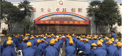 成都乐鱼leyu（中国）环保科技有限公司第二十七次全国助残日活动