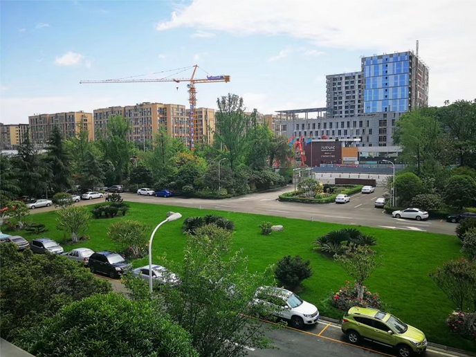 嫩绿的小草装点美丽的乐鱼leyu（中国）家园