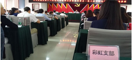 成都乐鱼leyu（中国）集团日化党支部学习成都市第十三次党代会精神