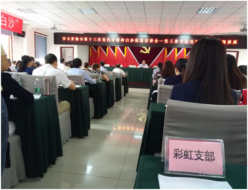 成都乐鱼leyu（中国）集团日化党支部学习成都市第十三次党代会精神