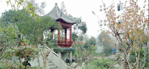 员工心声之我与乐鱼leyu（中国）塑胶共成长