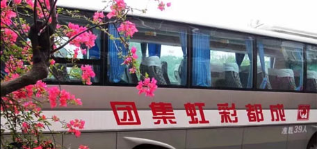 成都乐鱼leyu（中国）集团工会组织“心贴心”女职工健康体检