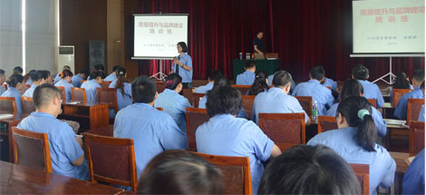 成都乐鱼leyu（中国）集团开展质量提升与品牌建设培训