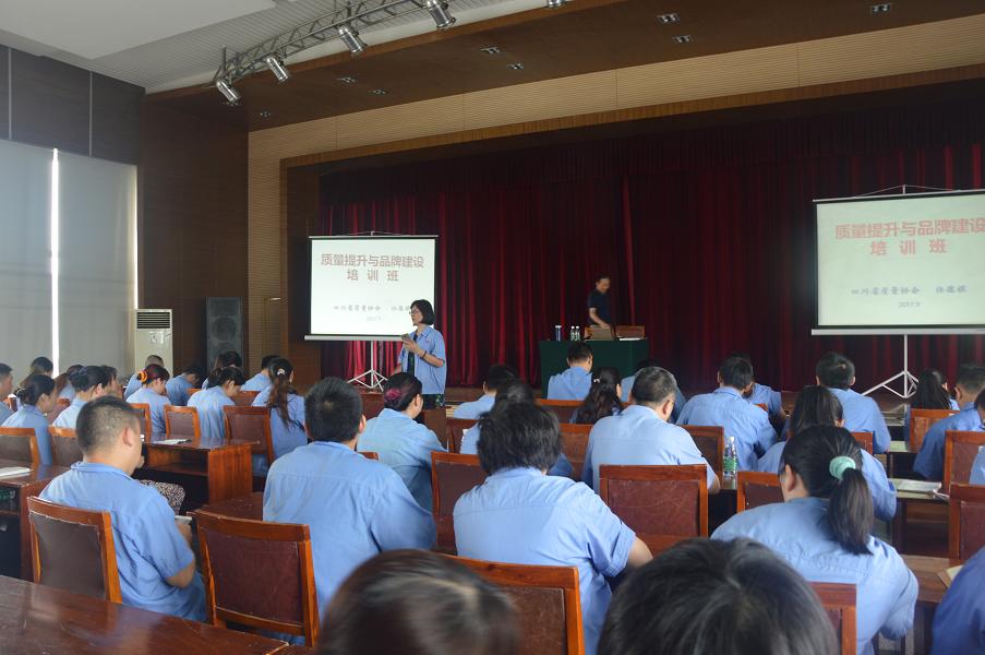 成都乐鱼leyu（中国）集团开展质量提升与品牌建设培训