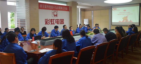 成都乐鱼leyu（中国）集团党委召开学习宣传党的十九大精神工作会