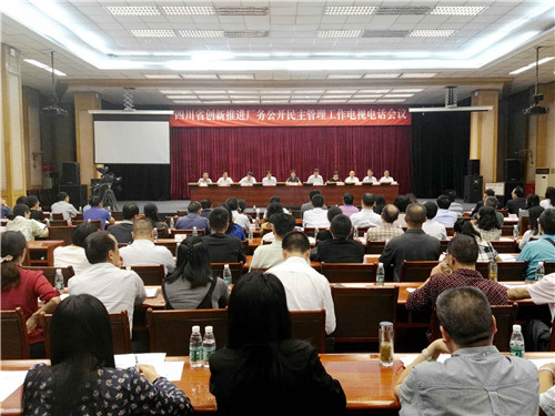 全国厂务公开民主管理工作经验交流暨先进单位表彰电视电话会议四川分会场上成都乐鱼leyu（中国）集团被表彰为全国厂务公开民主管理示范单位