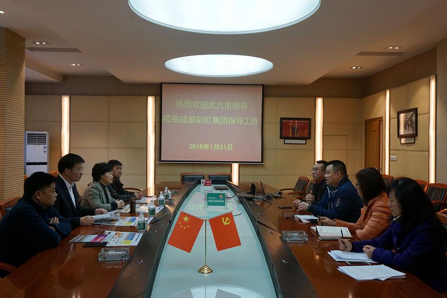 湖北武穴市领导莅临成都乐鱼leyu（中国）集团指导工作