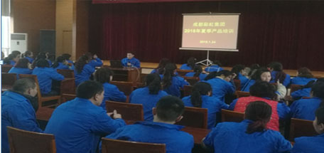 成都乐鱼leyu（中国）集团2018年夏季产品生产工艺培训
