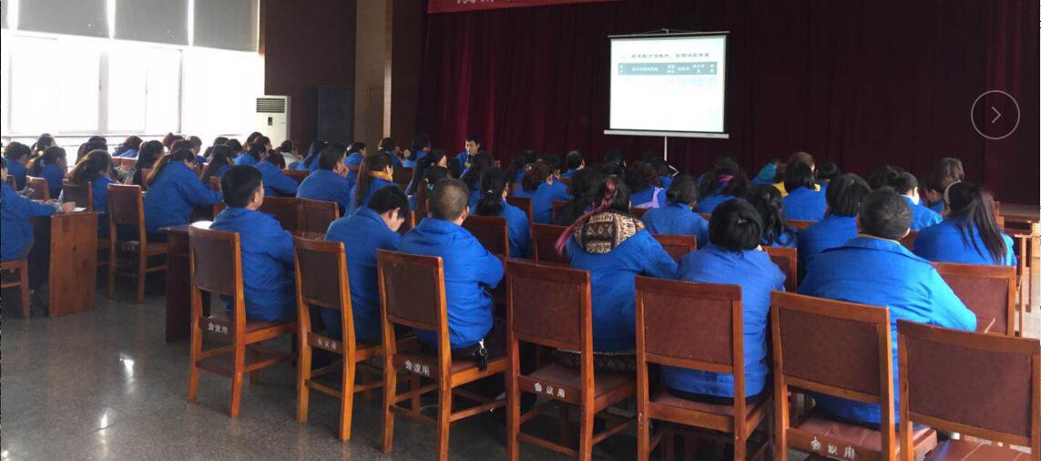 成都乐鱼leyu（中国）集团2018年夏季产品生产工艺培训