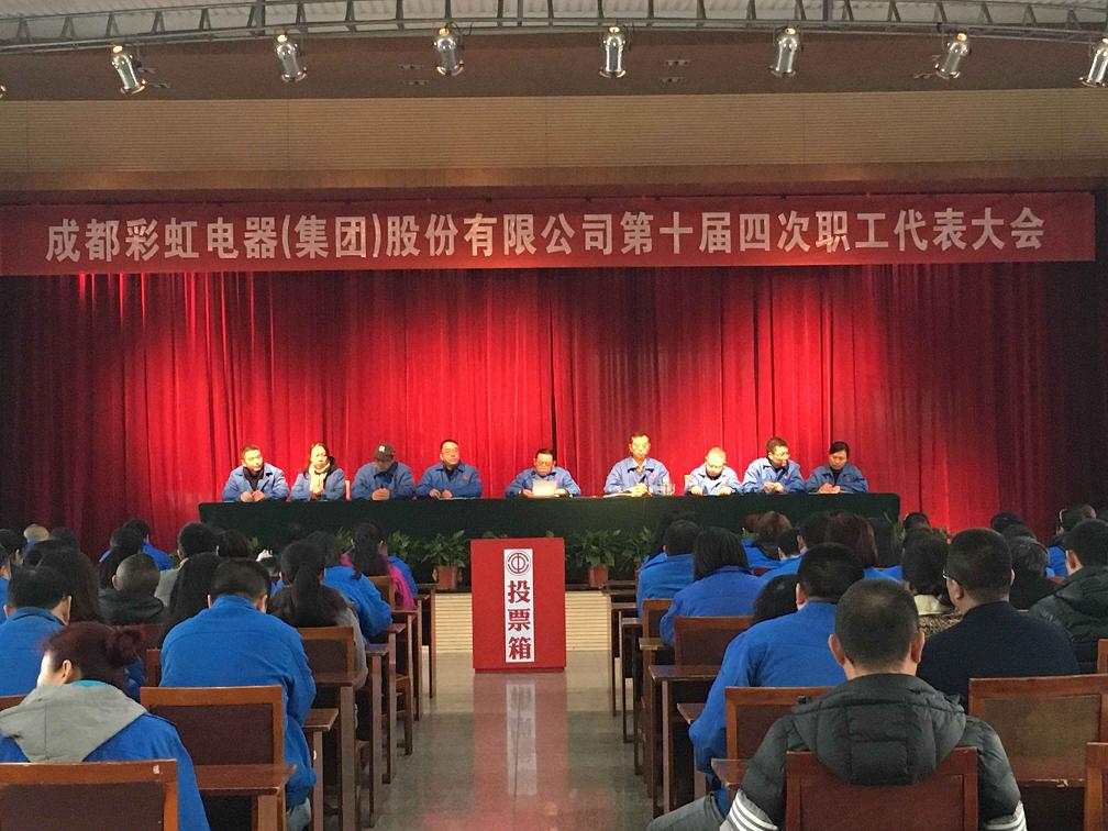 成都乐鱼leyu（中国）集团第十届第四次职工代表大会