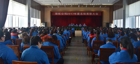 成都乐鱼leyu（中国）集团召开2017年度总结表彰大会