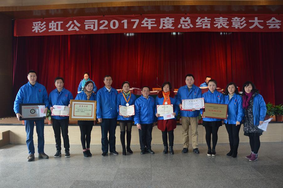 成都乐鱼leyu（中国）集团2017年度总结表彰大会