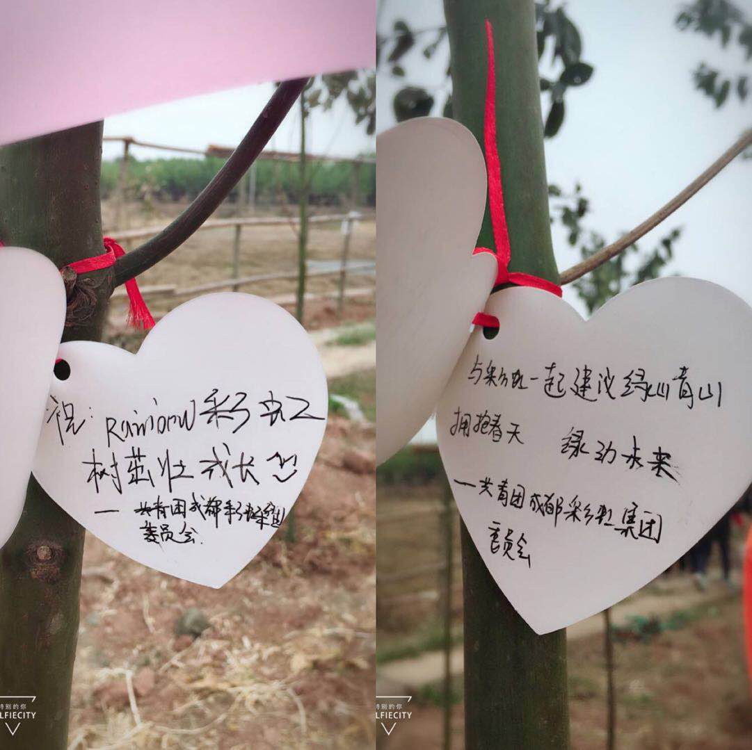 共青团成都乐鱼leyu（中国）集团团委及团员青年代表参加高新区植树节志愿服务活动